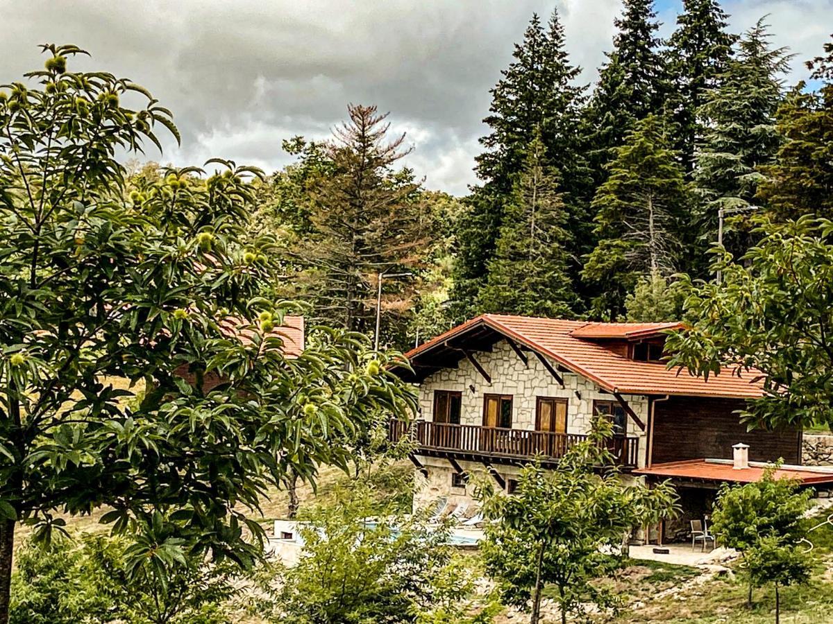 Вилла Quinta Outono Dourado Монталегри Экстерьер фото