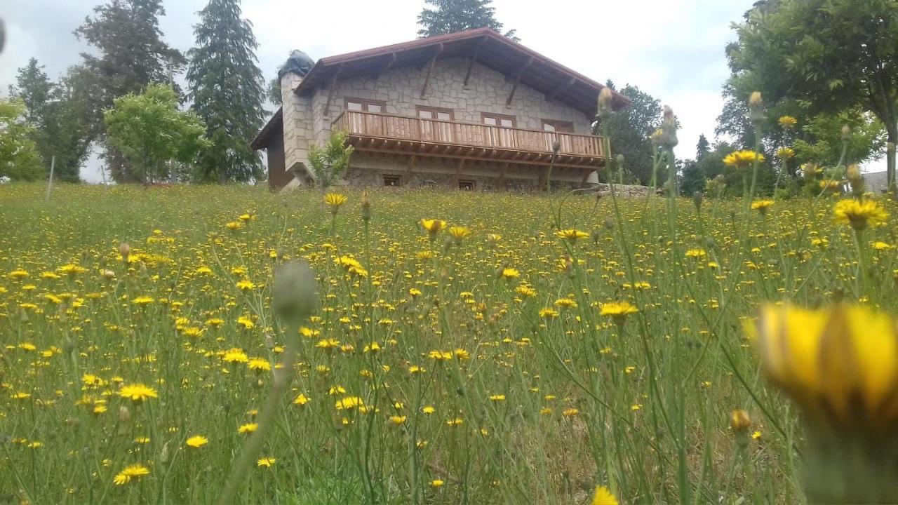 Вилла Quinta Outono Dourado Монталегри Экстерьер фото